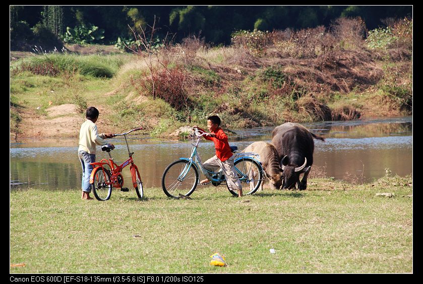 ��ϼ 278_nEO_IMG.jpg