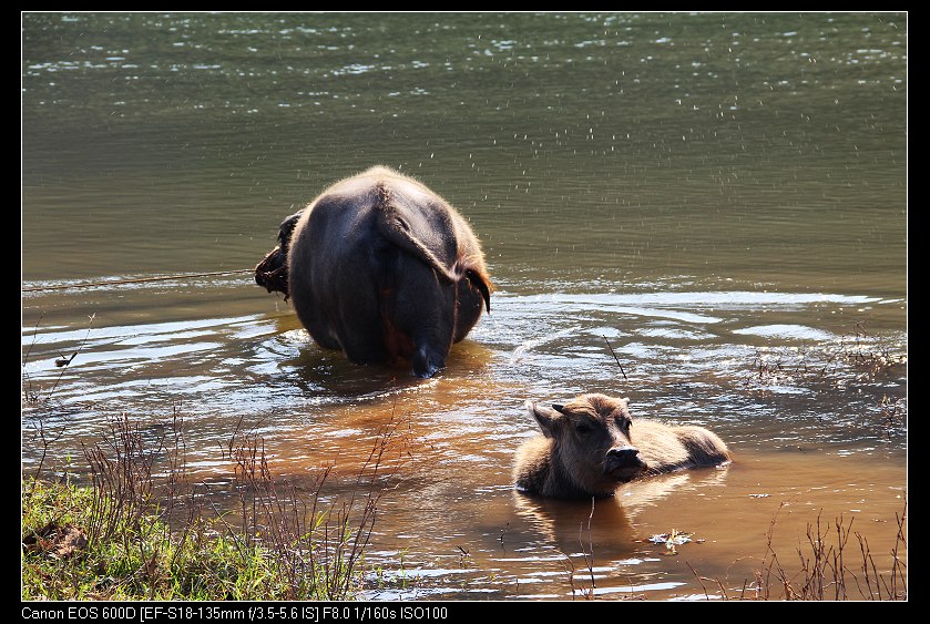 ��ϼ 291_nEO_IMG.jpg