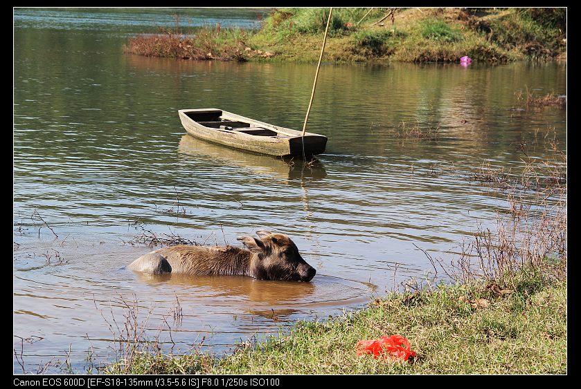 ��ϼ 293_nEO_IMG.jpg