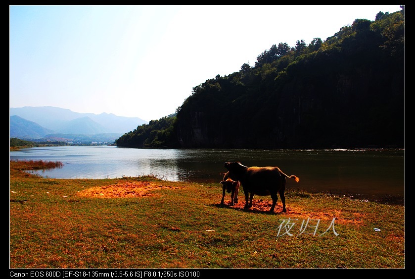 ��ϼ 268_nEO_IMG.jpg