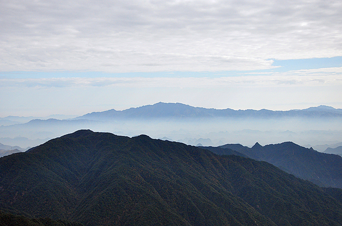 2011��11����Ƭ 558_����_����.jpg