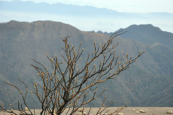 2011��11����Ƭ 579_����.jpg