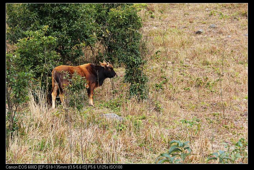 ����ɽ 175_nEO_IMG.jpg