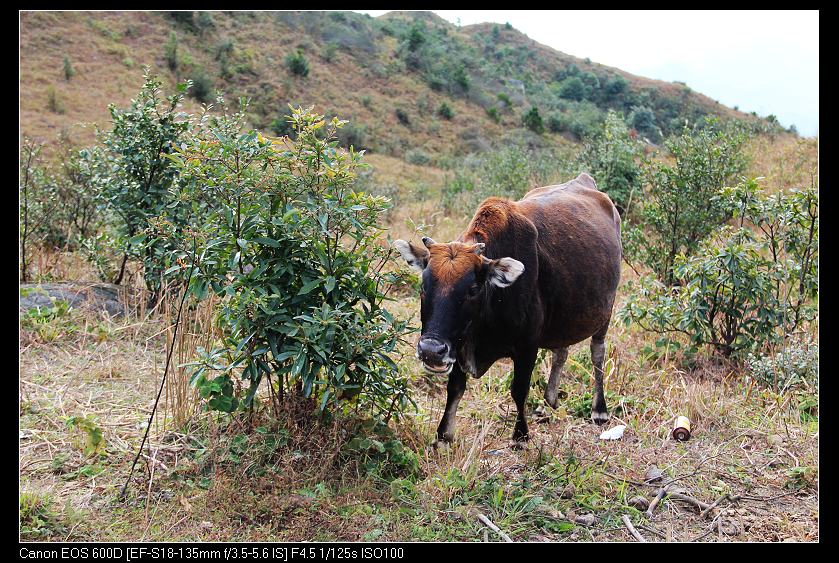 ����ɽ 177_nEO_IMG.jpg