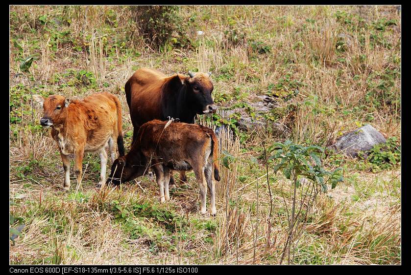 ����ɽ 179_nEO_IMG.jpg