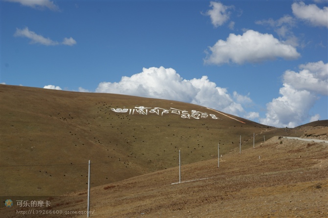 ������������¶��� 6.jpg