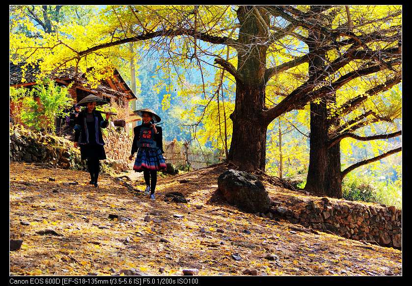 �鴨��˷�� 061_nEO_IMG.jpg