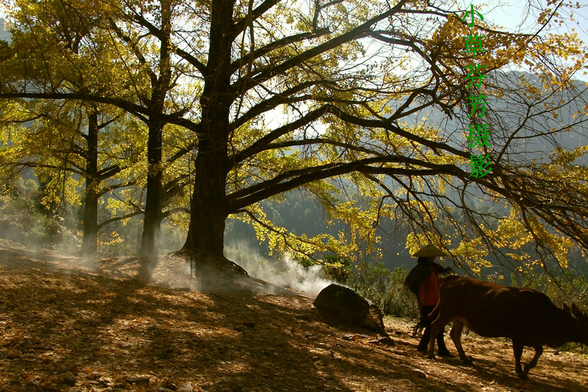 ���ڽ�ɫ���� ���Թ����콭001.jpg