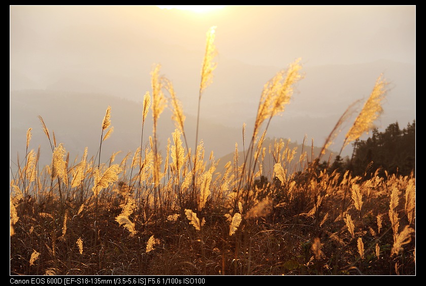 �鴨��˷�� 025_nEO_IMG.jpg