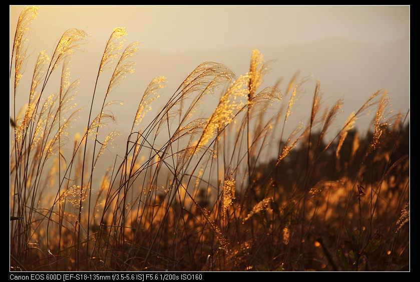 �鴨��˷�� 026_nEO_IMG.jpg