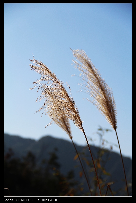 �鴨��˷�� 037_nEO_IMG.jpg