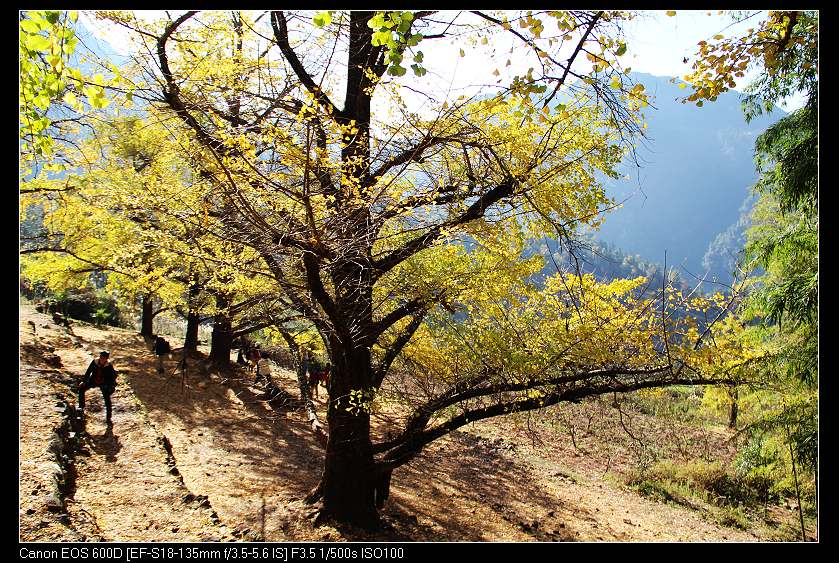 �鴨��˷�� 043_nEO_IMG.jpg