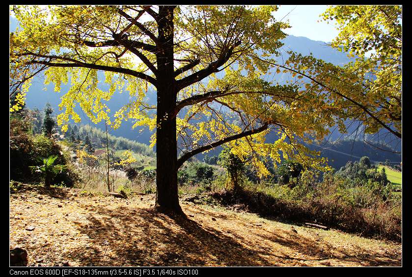 �鴨��˷�� 045_nEO_IMG.jpg