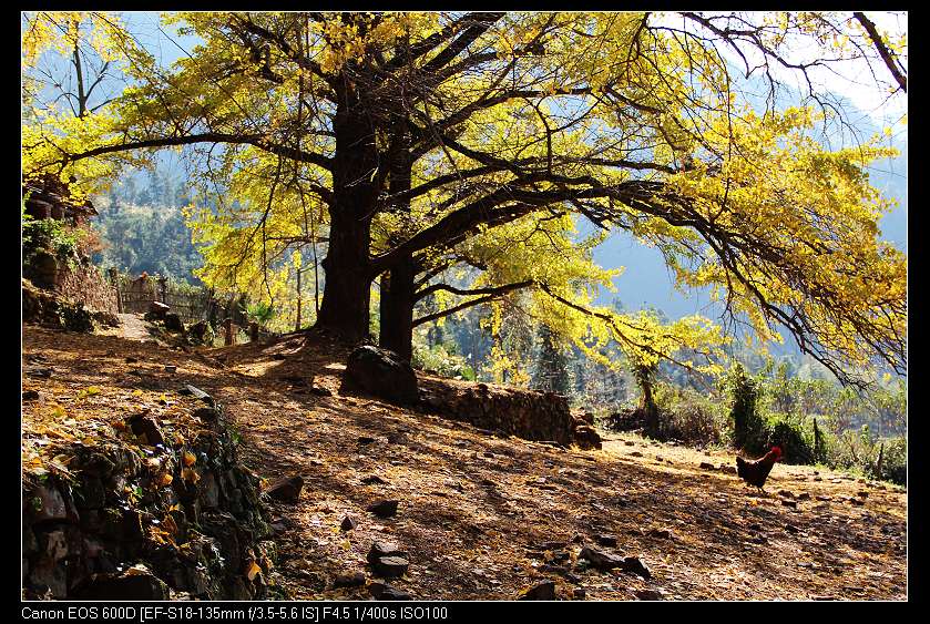 �鴨��˷�� 047_nEO_IMG.jpg