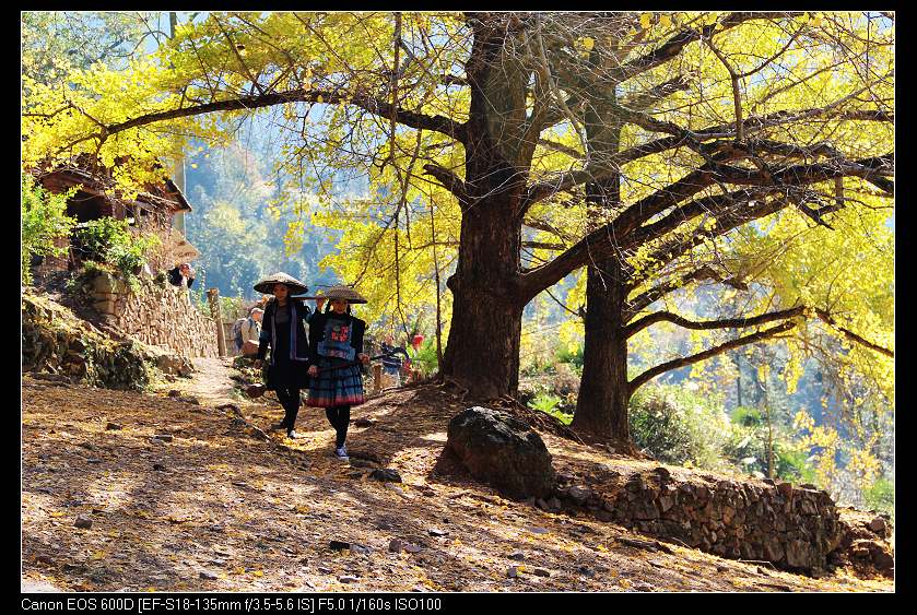 �鴨��˷�� 048_nEO_IMG.jpg