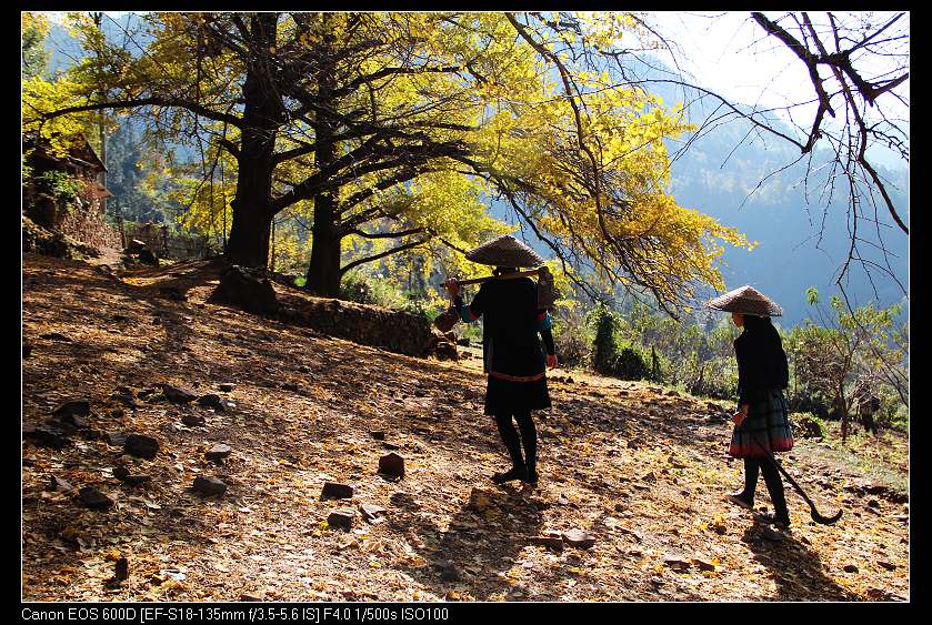 �鴨��˷�� 052_nEO_IMG.jpg