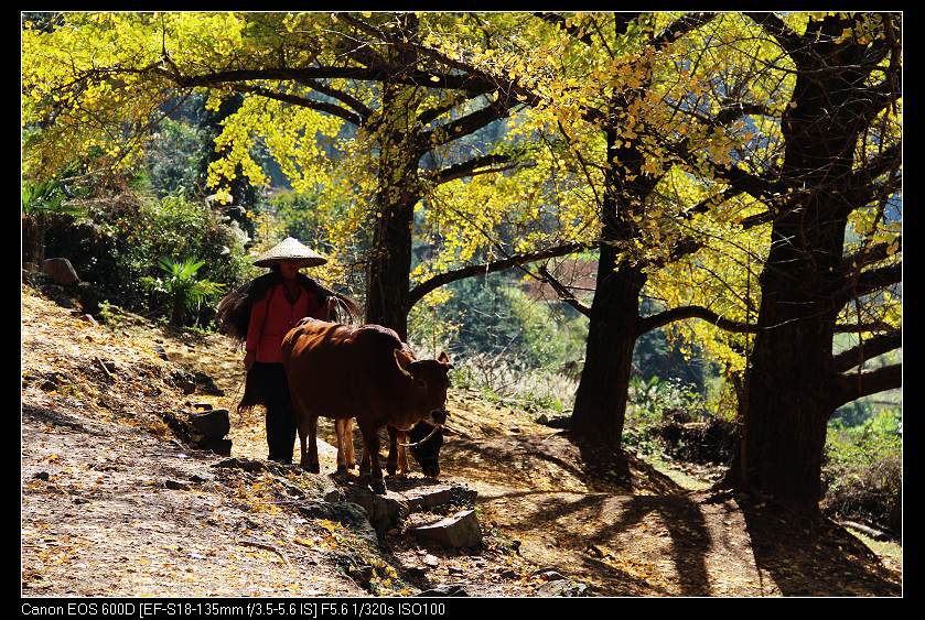 �鴨��˷�� 090_nEO_IMG.jpg