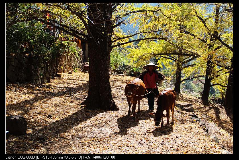 �鴨��˷�� 101_nEO_IMG.jpg