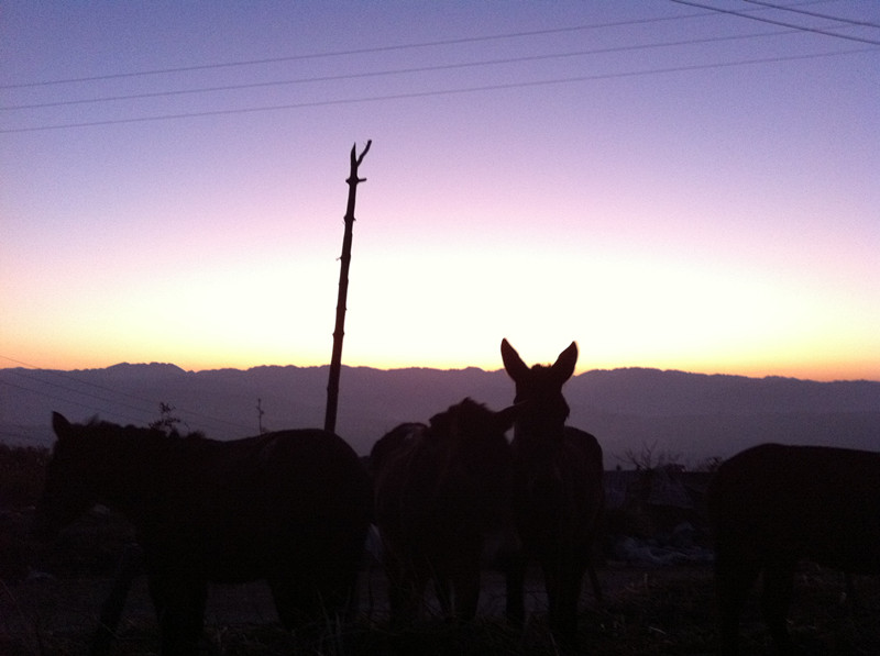 ��Ƭ 136_����.jpg