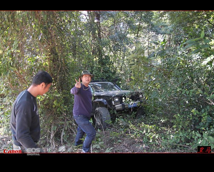 ���ƺý�����