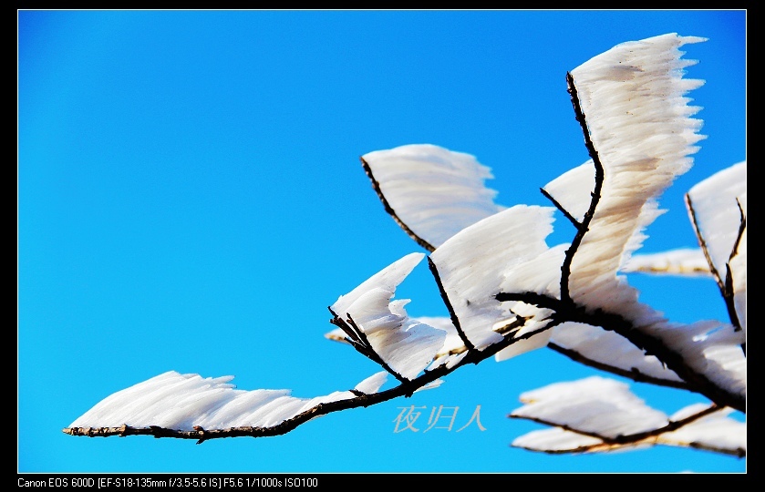 ���������� 104_nEO_IMG.jpg