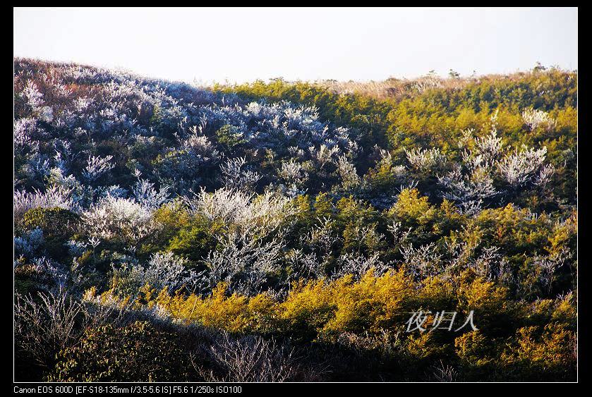 ���������� 071_nEO_IMG.jpg