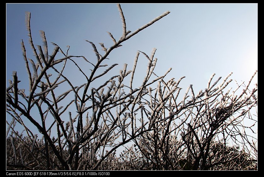 ���������� 012_nEO_IMG.jpg