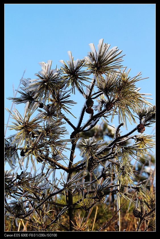 ���������� 014_nEO_IMG.jpg