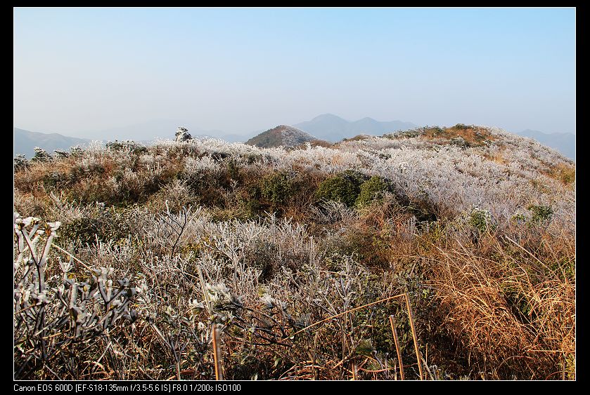 ���������� 015_nEO_IMG.jpg