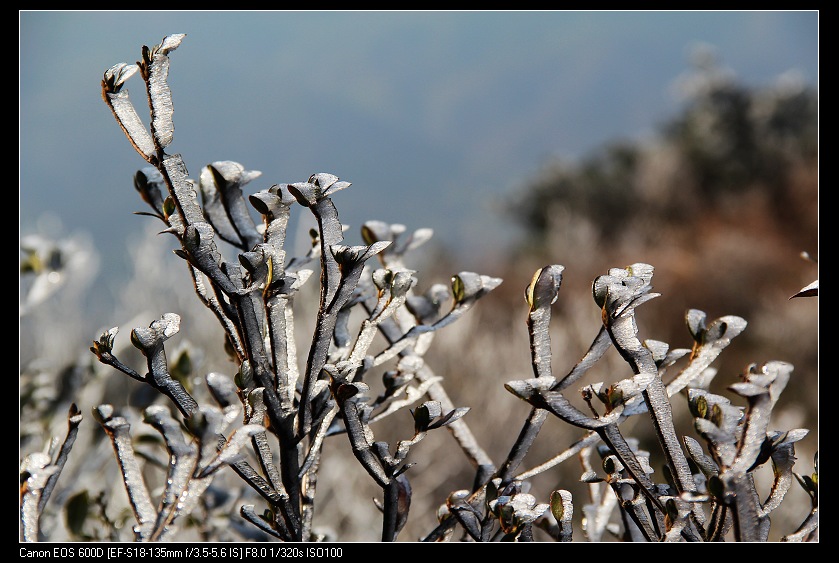 ���������� 016_nEO_IMG.jpg