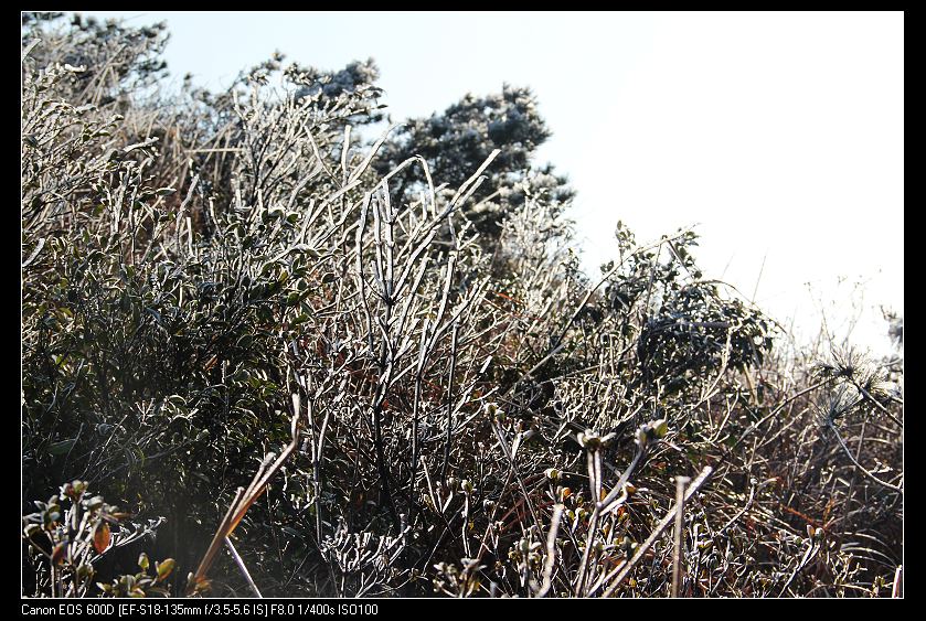 ���������� 017_nEO_IMG.jpg