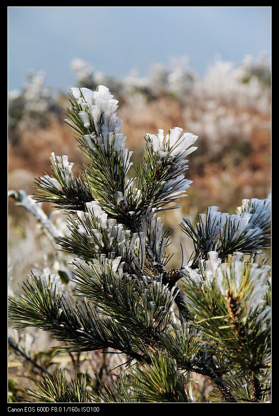 ���������� 018_nEO_IMG.jpg