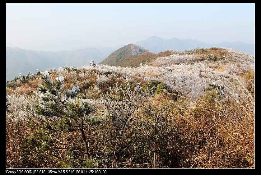 ���������� 019_nEO_IMG.jpg