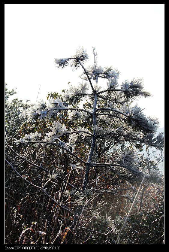 ���������� 020_nEO_IMG.jpg