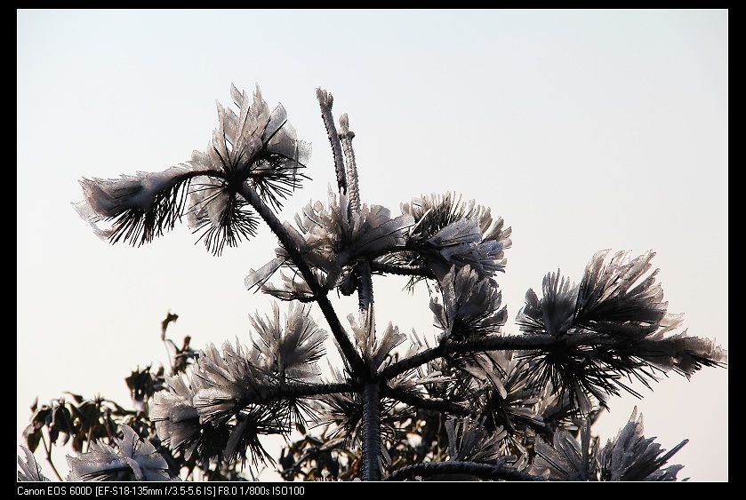 ���������� 021_nEO_IMG.jpg