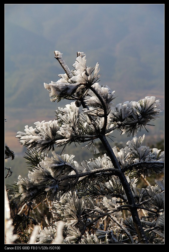 ���������� 022_nEO_IMG.jpg