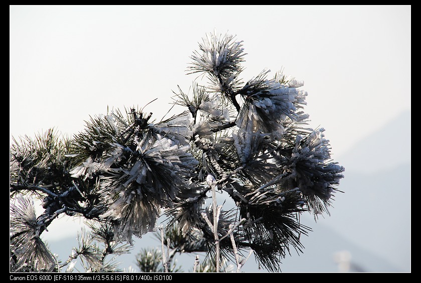 ���������� 023_nEO_IMG.jpg