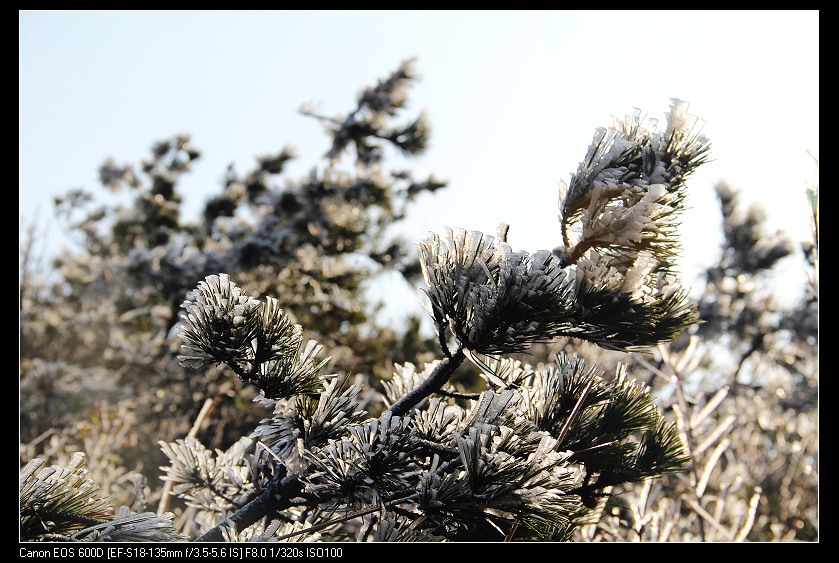 ���������� 024_nEO_IMG.jpg