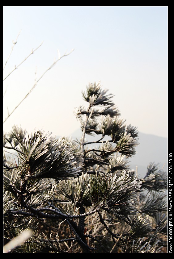 ���������� 025_nEO_IMG.jpg