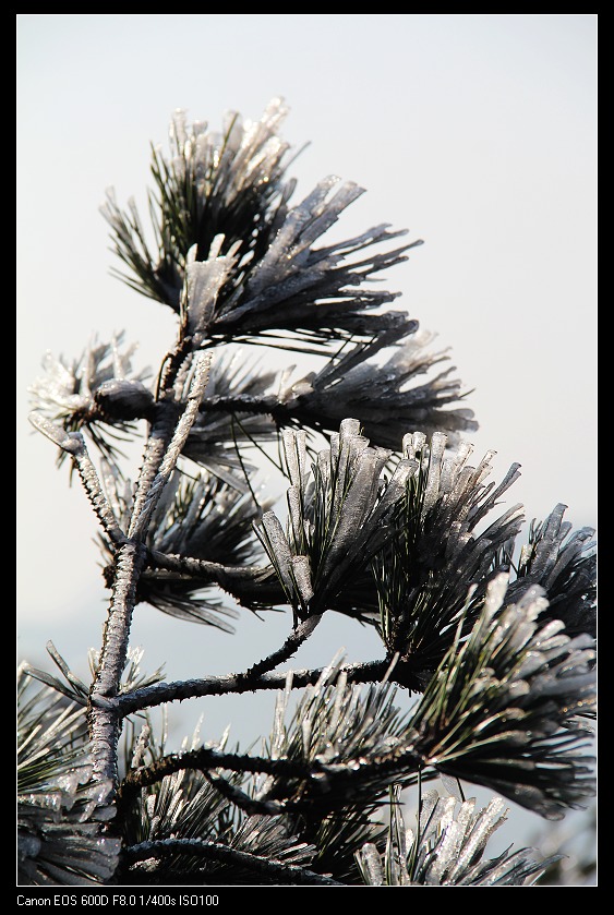 ���������� 026_nEO_IMG.jpg