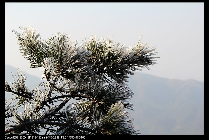 ���������� 027_nEO_IMG.jpg