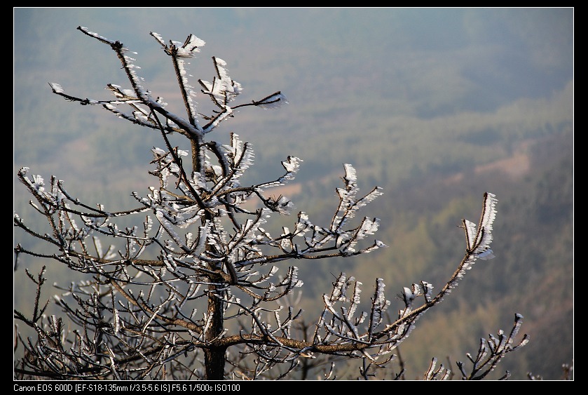 ���������� 030_nEO_IMG.jpg