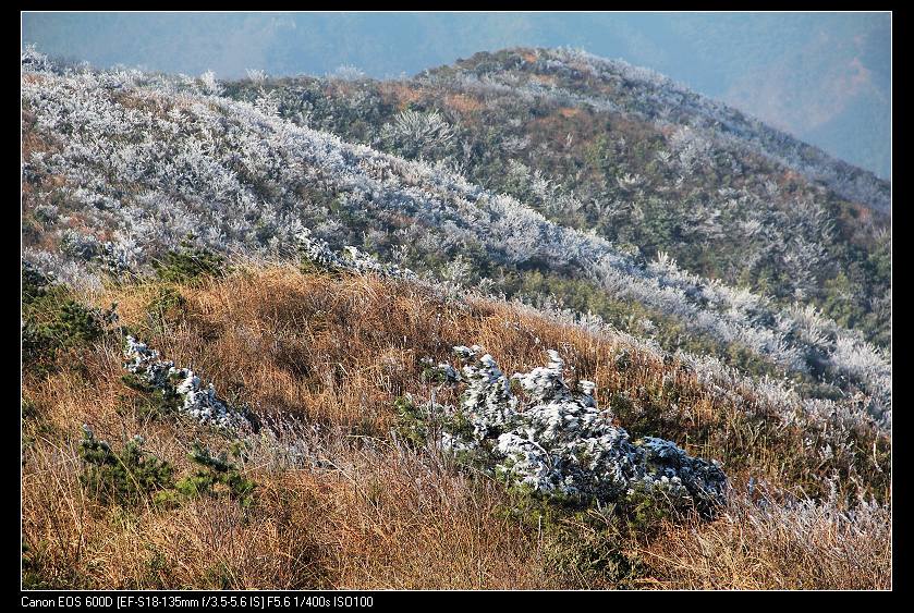 ���������� 031_nEO_IMG.jpg