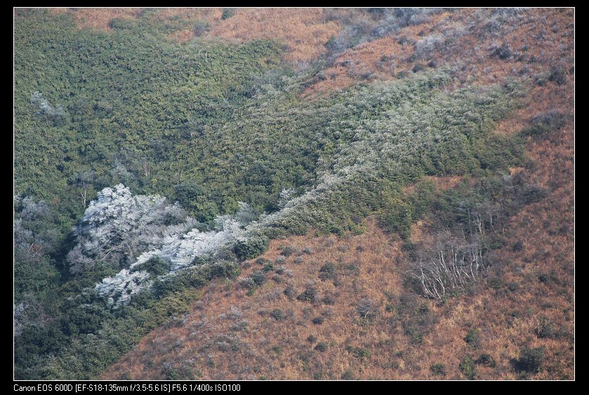 ���������� 032_nEO_IMG.jpg