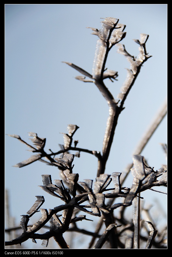 ���������� 033_nEO_IMG.jpg