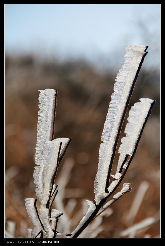 ���������� 034_nEO_IMG.jpg