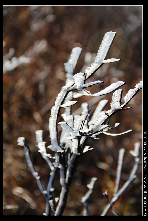 ���������� 035_nEO_IMG.jpg