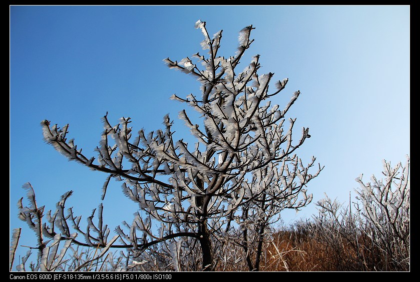 ���������� 036_nEO_IMG.jpg