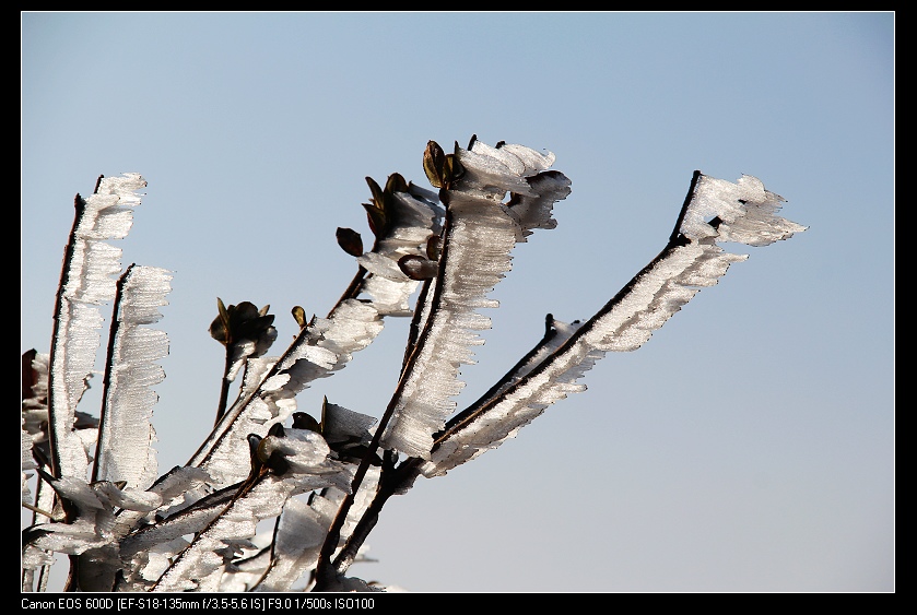 ���������� 037_nEO_IMG.jpg