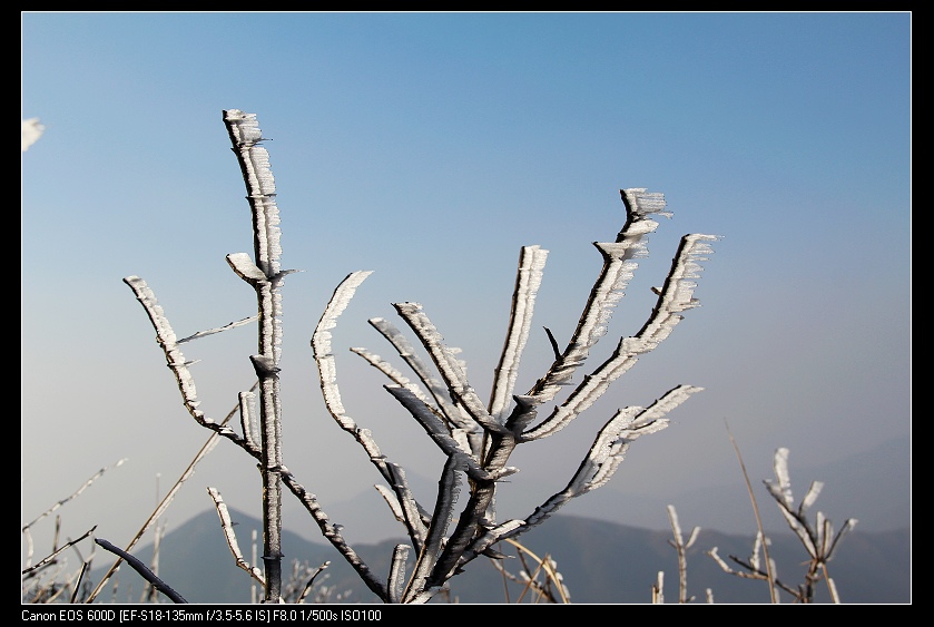 ���������� 038_nEO_IMG.jpg